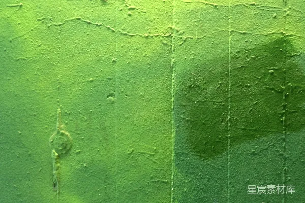 高清摄影 绿色墙面纹理