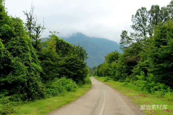 高清摄影 蜿蜒山路与绿色森林
