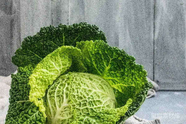 高清摄影 新鲜卷心菜与刀具的厨房场景