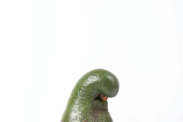 高清摄影 弯曲的鳄梨