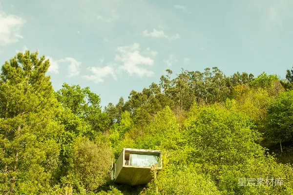 高清摄影 森林中的悬空小屋