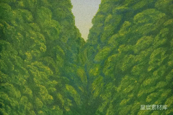 高清摄影 森林深处的通道