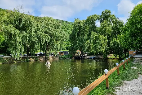 高清摄影 柳树下的宁静湖畔