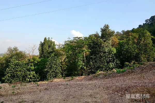 高清摄影 山间荒地与绿树