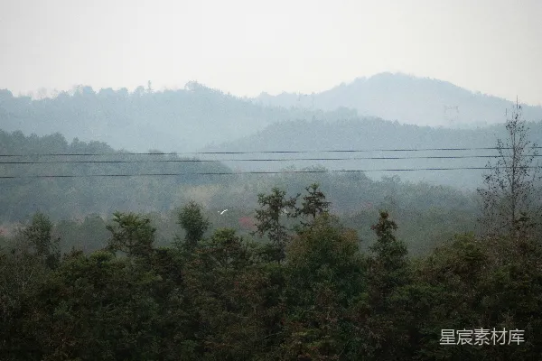 高清摄影 雾蒙蒙的山林景色