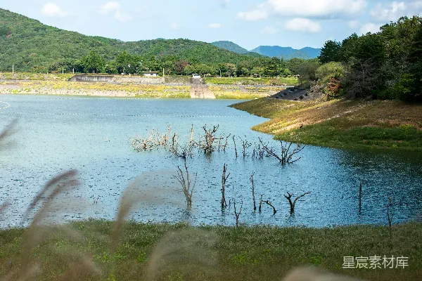 高清摄影 湖畔枯树与山景