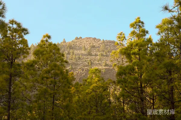 高清摄影 松林与远山