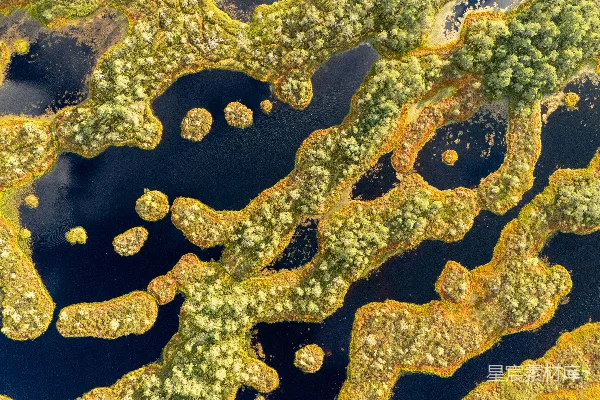 高清摄影 湿地航拍：自然纹理之美