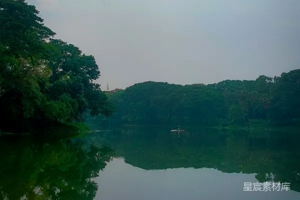 高清摄影 宁静的湖畔晨景