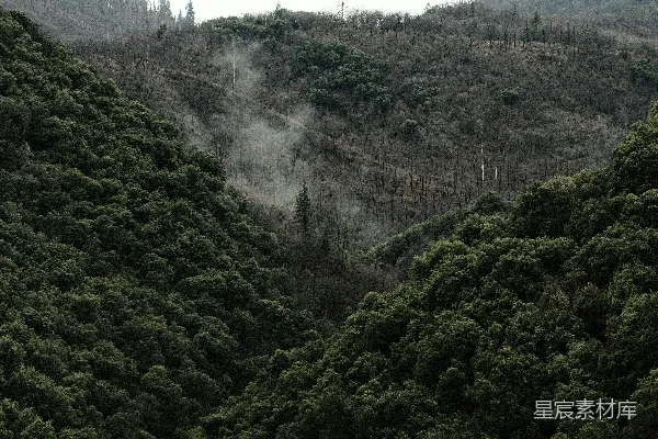 高清摄影 雾蒙蒙的山谷