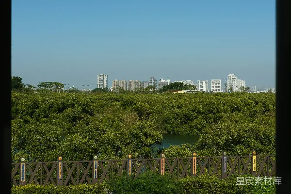 高清摄影 城市与自然的和谐视角