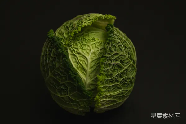 高清摄影 新鲜卷心菜特写