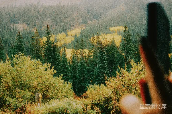 高清摄影 山林中的剪影