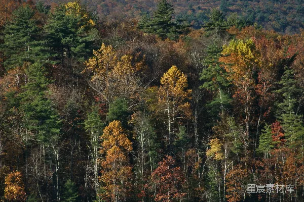 高清摄影 秋日湖畔的山景