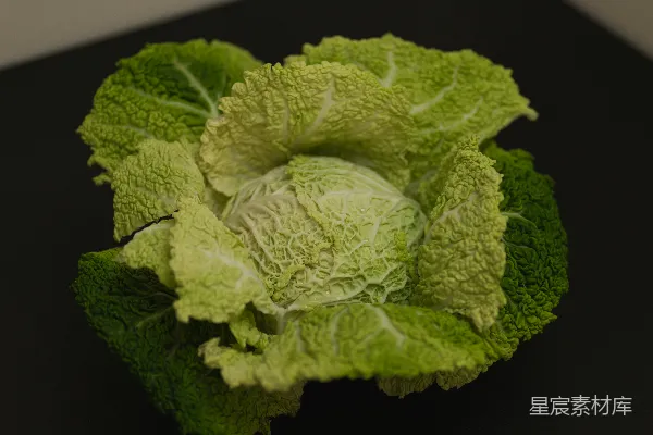 高清摄影 新鲜卷心菜