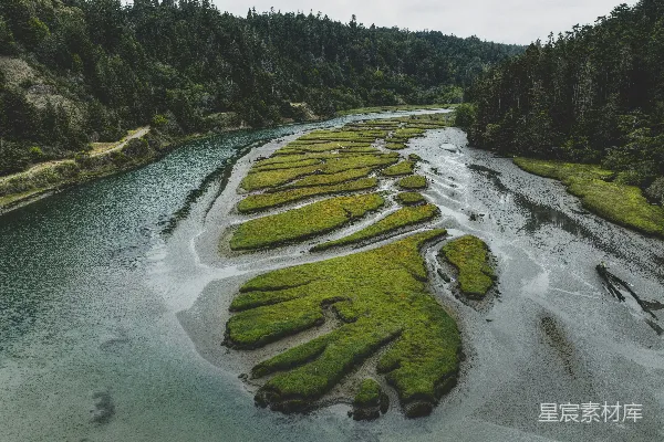 高清摄影 湿地与河流的自然艺术