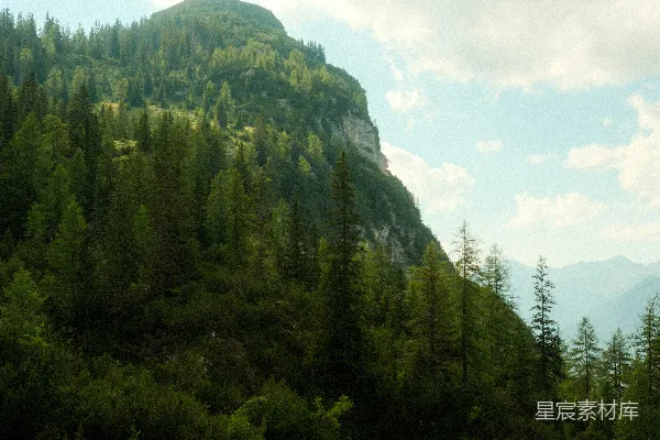 高清摄影 山间森林景色