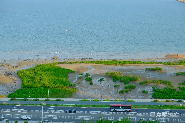 高清摄影 海岸线上的绿色岛礁