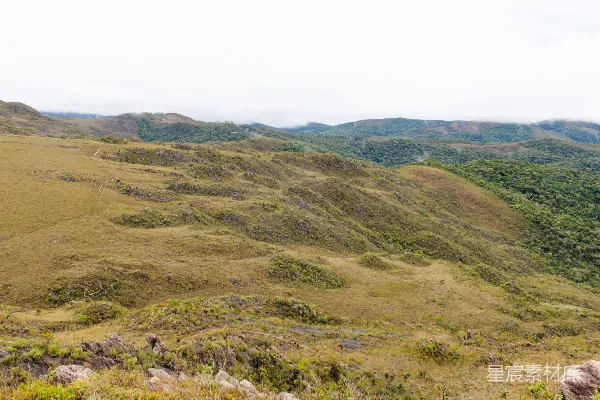 高清摄影 高原风光：山间草地与森林