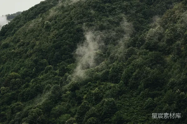 高清摄影 雾气缭绕的山林