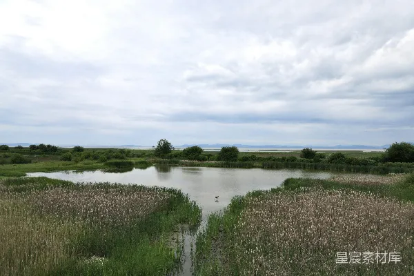 高清摄影 湿地风光