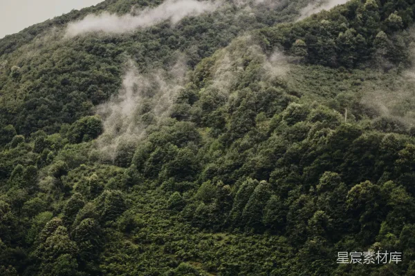 高清摄影 山间薄雾