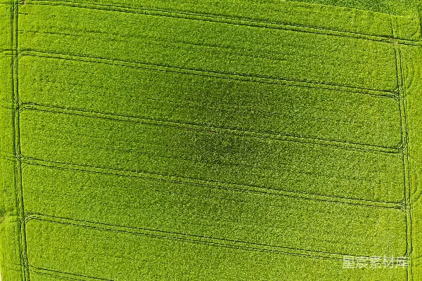 高清摄影 航拍绿意盎然的田野