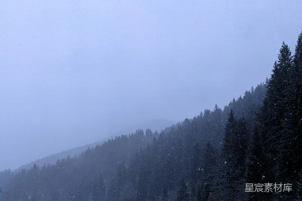 高清摄影 冬日雪景