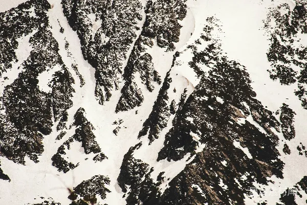 高清摄影 雪山与松林