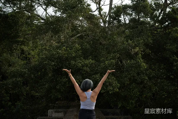 高清摄影 自由的旅者