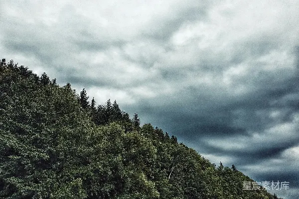 高清摄影 阴云密布的山林