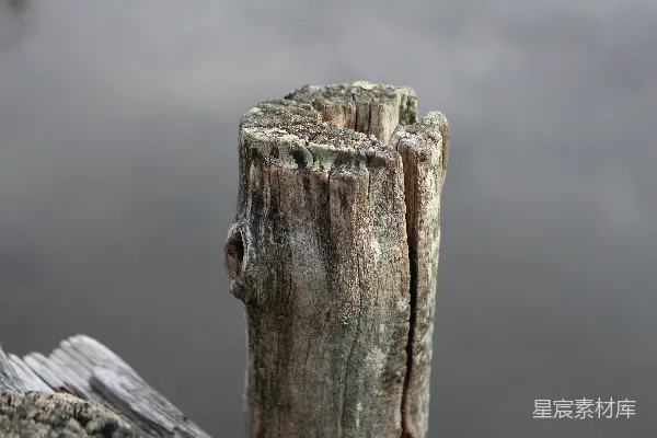 高清摄影 风雨侵蚀的木桩