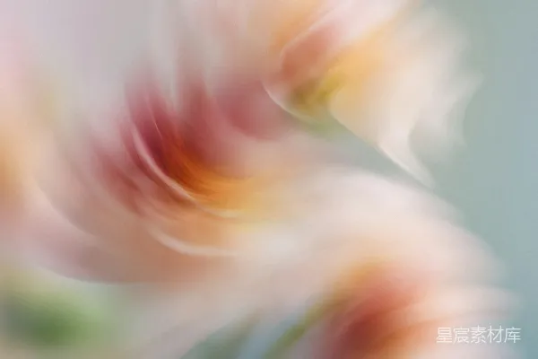 高清摄影 梦幻旋转的花朵