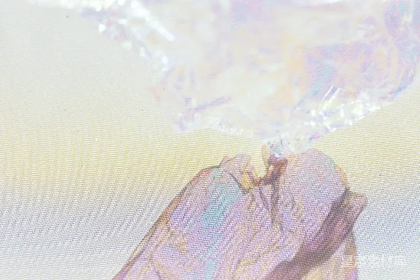 高清摄影 闪亮的蝴蝶翅膀