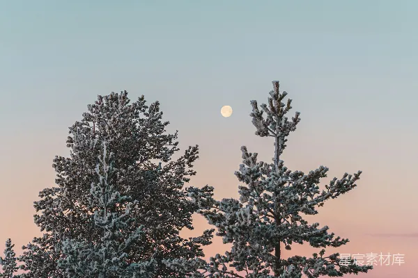 高清摄影 冬夜的月光与雪景