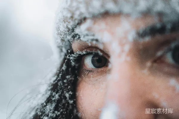 高清摄影 冬日雪景中的凝视