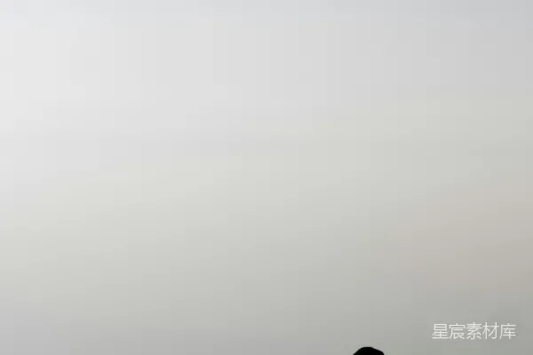高清摄影 雾中的孤独