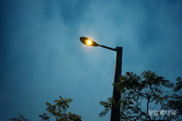 高清摄影 路灯下的夜空