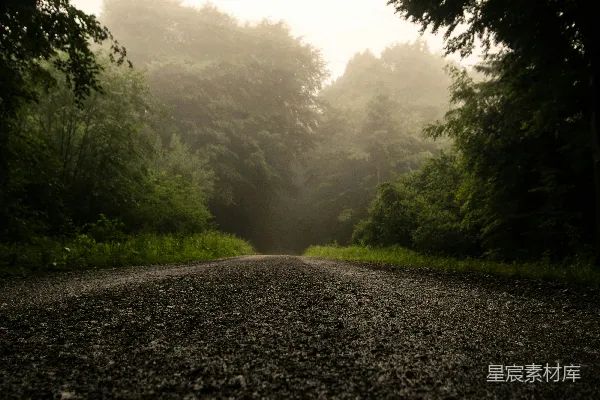 高清摄影 雾中的森林小路