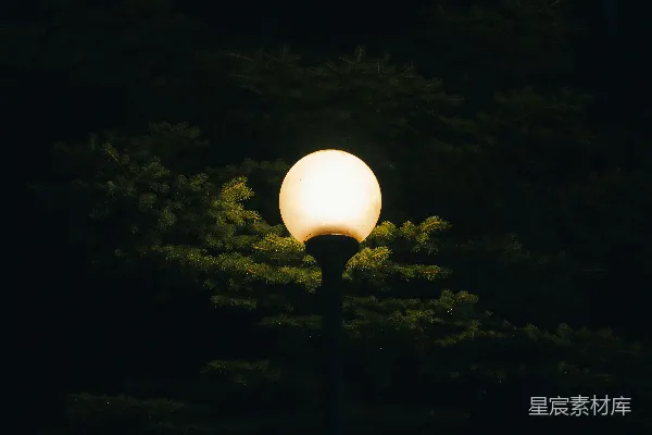 高清摄影 夜色中的路灯与松树