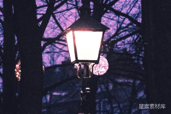 高清摄影 夜幕下的路灯