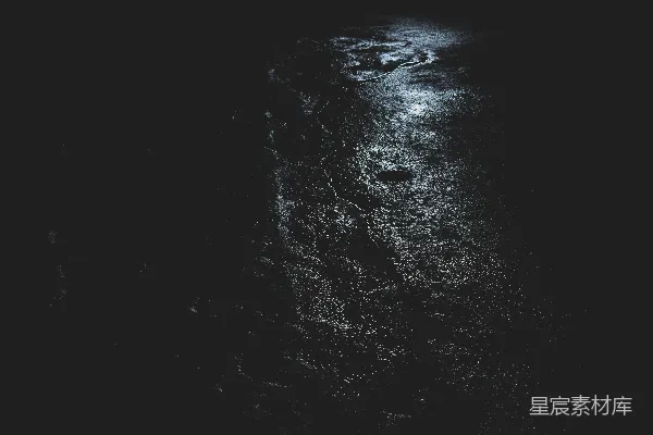 高清摄影 夜色中的湿地
