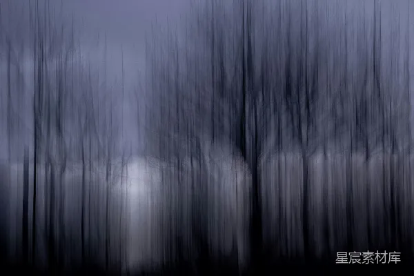高清摄影 模糊的森林夜景