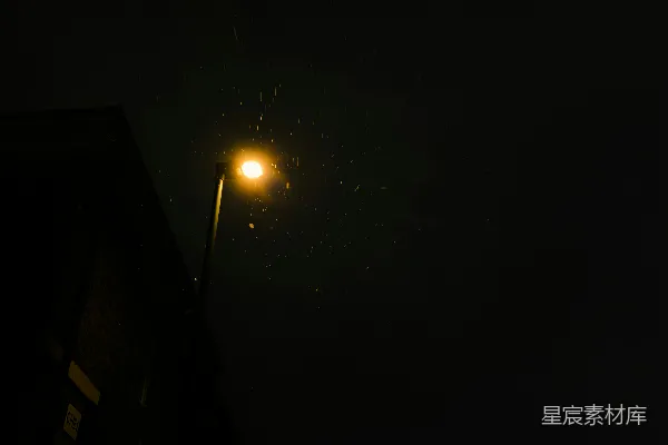 高清摄影 街灯下的雪夜