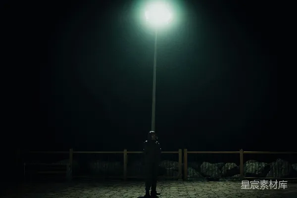 高清摄影 夜色中的孤独守望