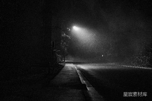 高清摄影 夜色中的路灯