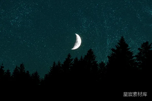 高清摄影 夜空下的新月