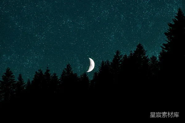 高清摄影 夜空中的新月与松林