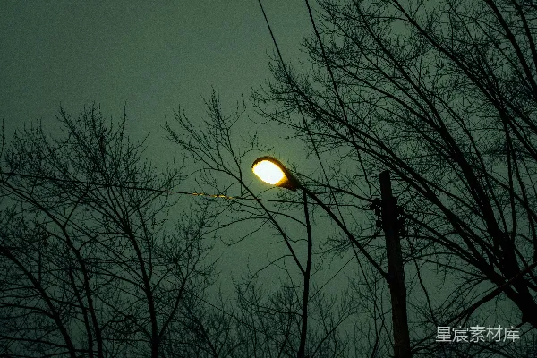 高清摄影 昏黄路灯下的静谧夜晚