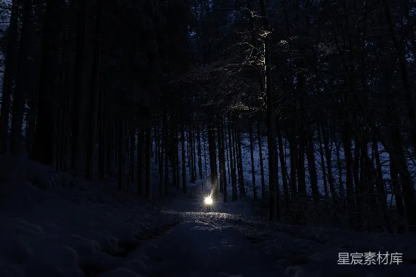 高清摄影 雪夜中的光